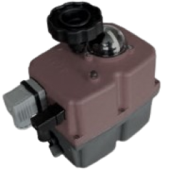 Eléctricos (Elétricos)